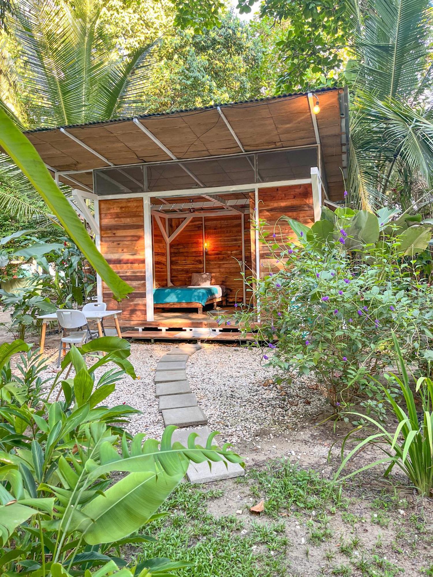 Nomadic Surf Camp Pansiyon Uvita Dış mekan fotoğraf